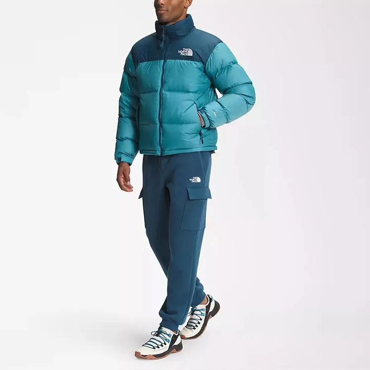 THE NORTH FACE 1996 Retro Nuptse Jacket (Unisex) Down Jackets NF0A3C8D 9NQ
