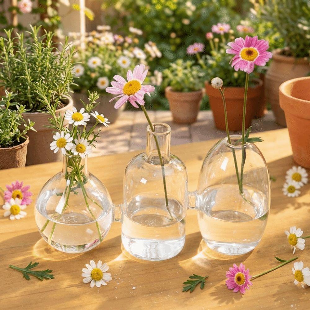 Transparent Glass Vase Floral Bottle Flower Holder Plant Terrarium Triple Connected Minimalist Tabletop Plant Vase