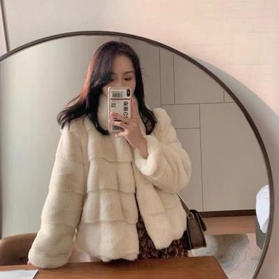 Imitation Mink Fur Coat Women's Winter New Loose Furry Short Thickened Stand-up Coat