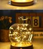 Christmas Eve Apple Preserved Flower Glass Dome Figurine with Clay Craft