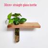 Solid Wood Wall-Mounted Flower Holder & Shelf - Decorative Vase for Plants & Water Culture