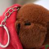 Adorable Capybara Pendant Plush Toy for Desktop Ornaments and Keychain Bag Hanging Ornament