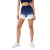 USA Womens/Ladies Ombre Workout Cycling Shorts