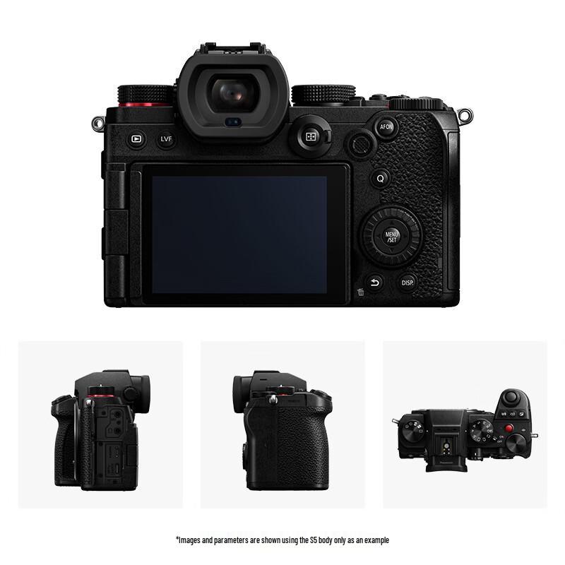 Panasonic Lumix S5 Full-Frame Mirrorless Camera (CN version)