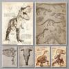 Klassisk Retro Mystisk Fossil Skjelett Dinosaur Kunst Plakat Lerretstrykk Veggkunst Bilder Stue Soverom Hjemmedekorasjon