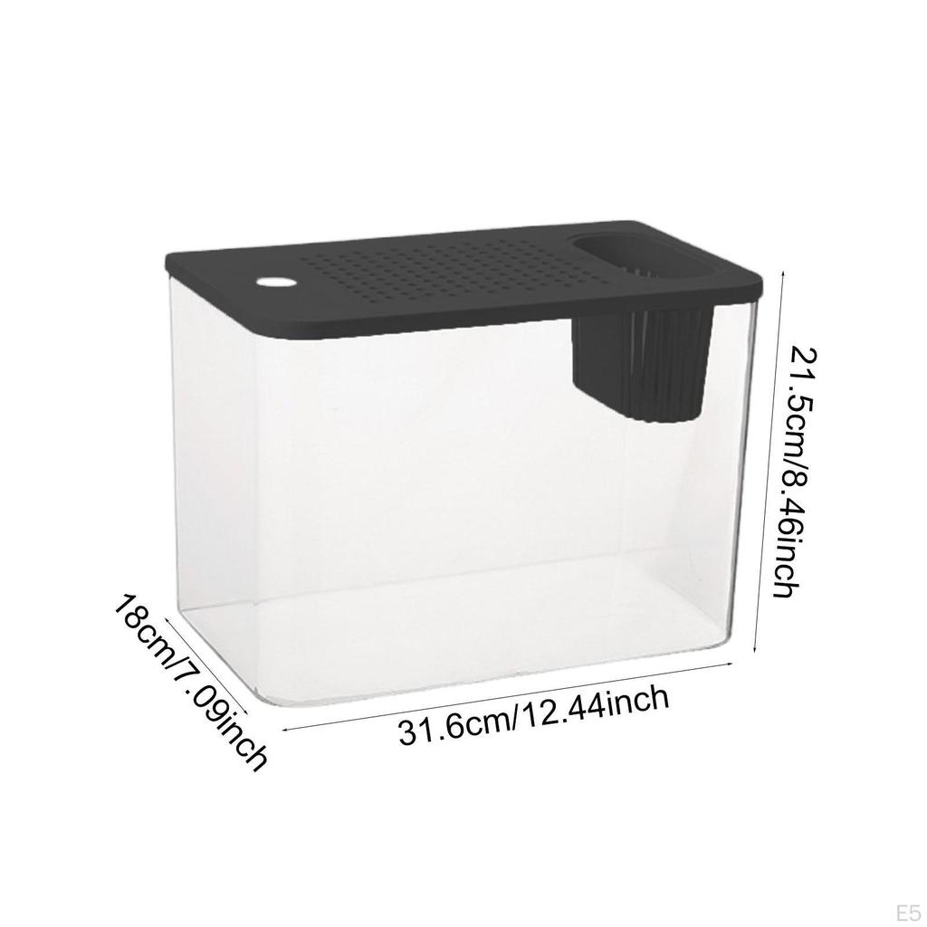 Reptile Tank Terrarium Feeding Box Clear View Supplies Small Fish Habitat for Chameleon Hermit