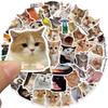 10/30/50pcs Funny Animal Cat MEME Stickers Waterproof Graffiti Stationery Diary Laptop Kawaii Decoration Sticker Toys Gifts