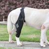 Dog Knee Rear Leg Brace with Fastening Strap Wear Resistant Ultralight Adjustable
