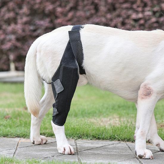 Dog Knee Rear Leg Brace with Fastening Strap Wear Resistant Ultralight Adjustable