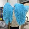 10 Pezzi Piuma di Struzzo Naturale Artigianato Matrimonio Casa Centrotavola Decorazione Piuma di Struzzo Personalizzata Colorata Accessorio all'Ingrosso