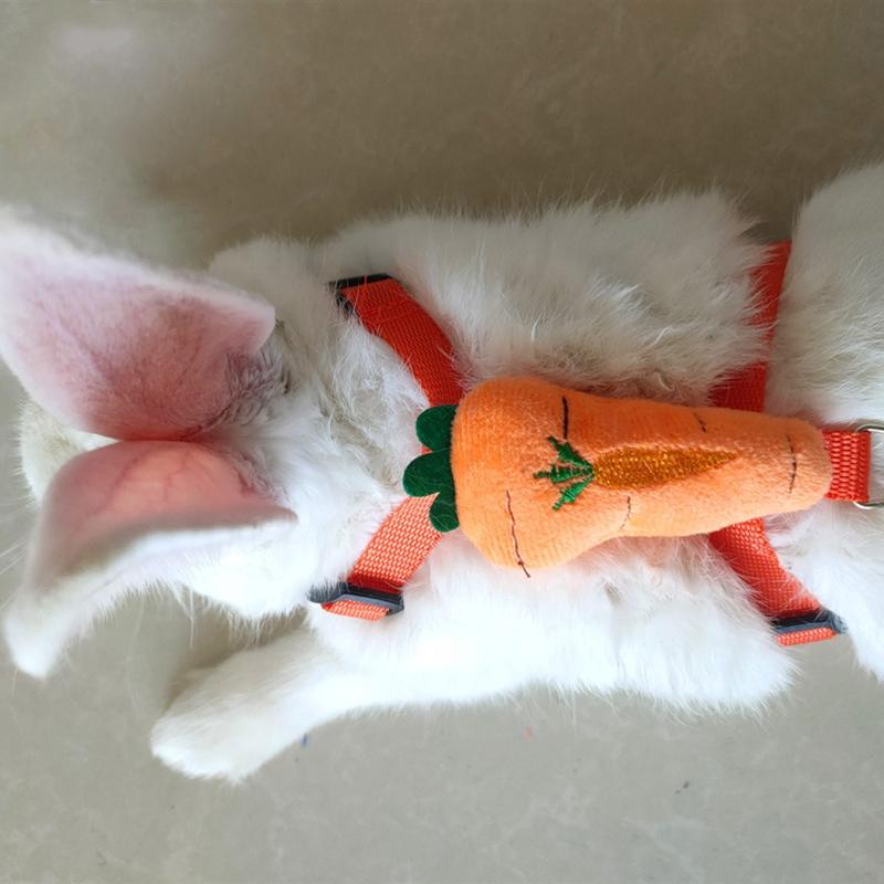 Small Dog Harness and Leash Set Escape Proof No Pull for Puppies Adjustable Cute Harnesses for Rabbit Bunny Hamster