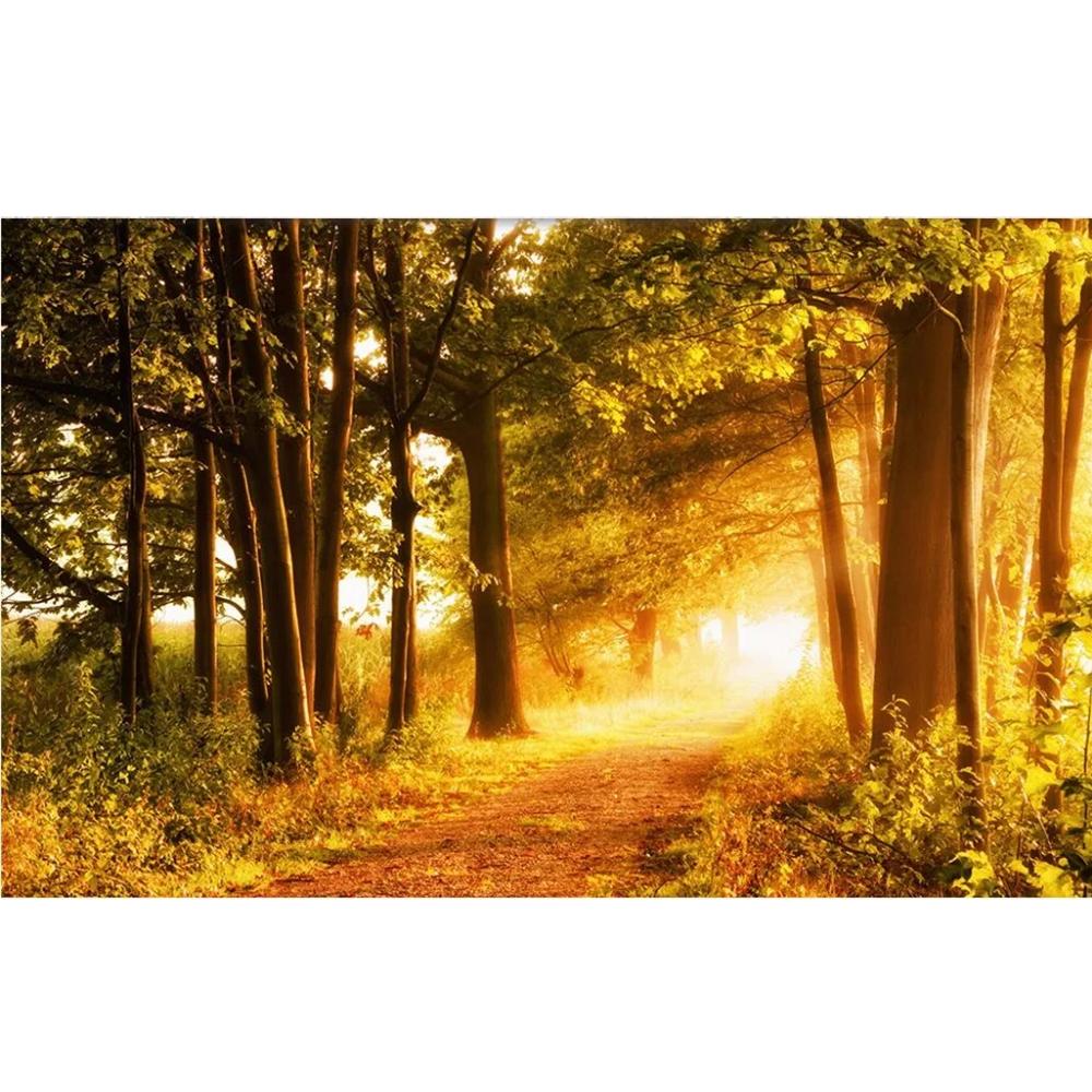 Sunny Path Forest Landscape Room Decoration Painting 3d Wall Murals Wallpaper