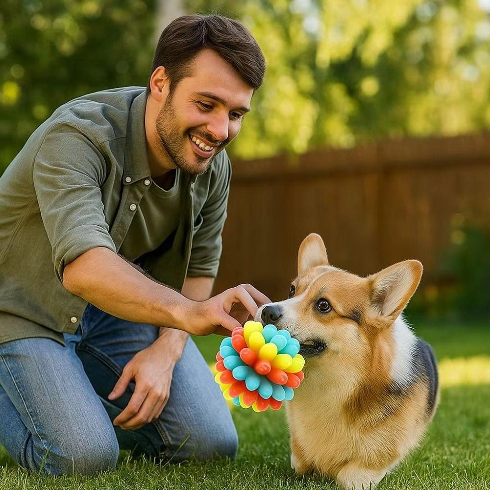 Colorful Dog Elastic Ball Toy Bite Resistant TPR Interactive Dog Toy Interactive Play