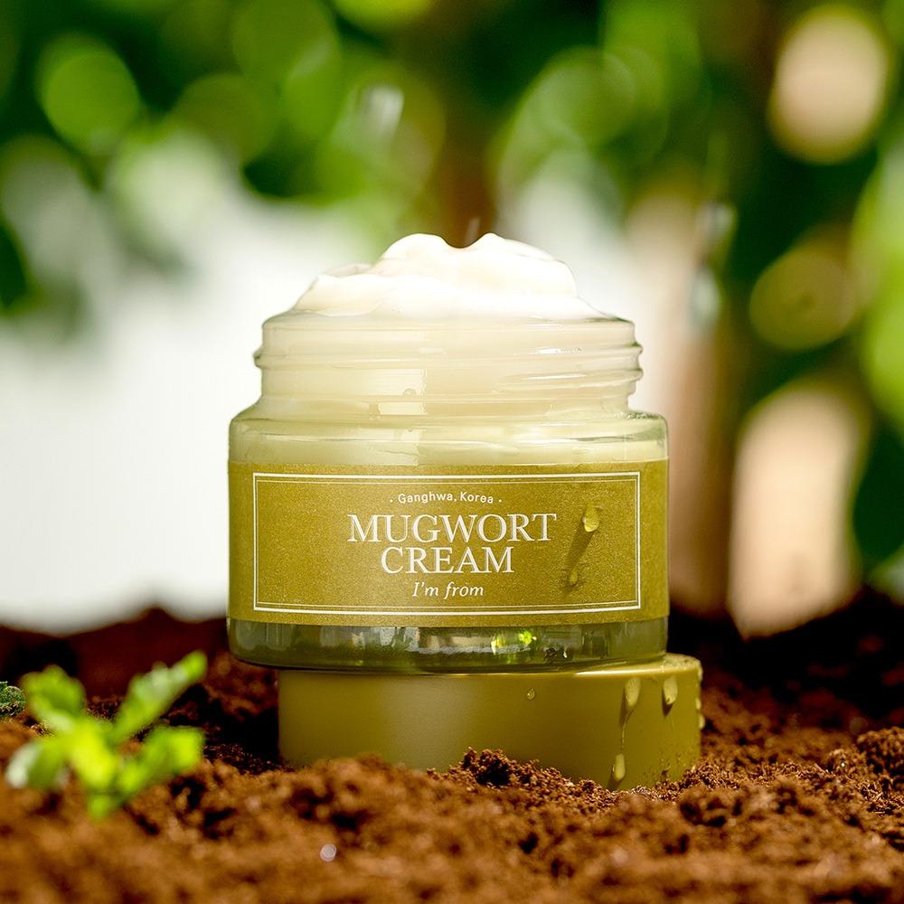 I'm From Mugwort Cream Soothing Hydrating Moisturizer 50g