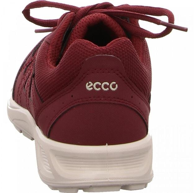 Полуботинки Ecco Terracruise LT GTX