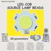 2PCS High Power LED COB Light Bulb 250mA 20MM 3W 5W 7W 10W LED Source Chip Light Lamp SpotLight Downlight Lamps DIY