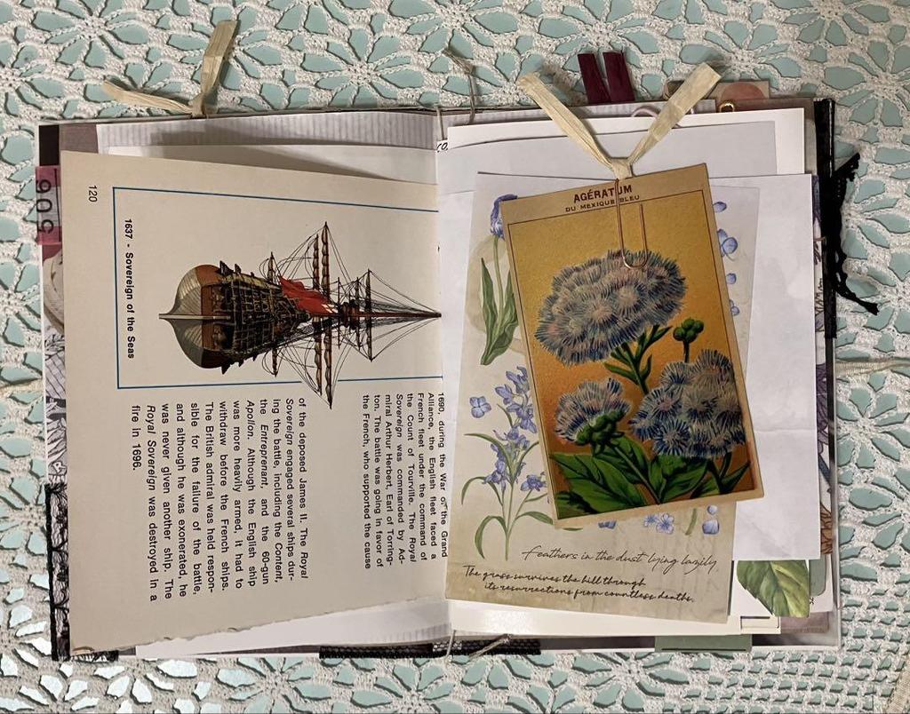 [USED] Junk journal, sharing file, botanical, plants, postcards