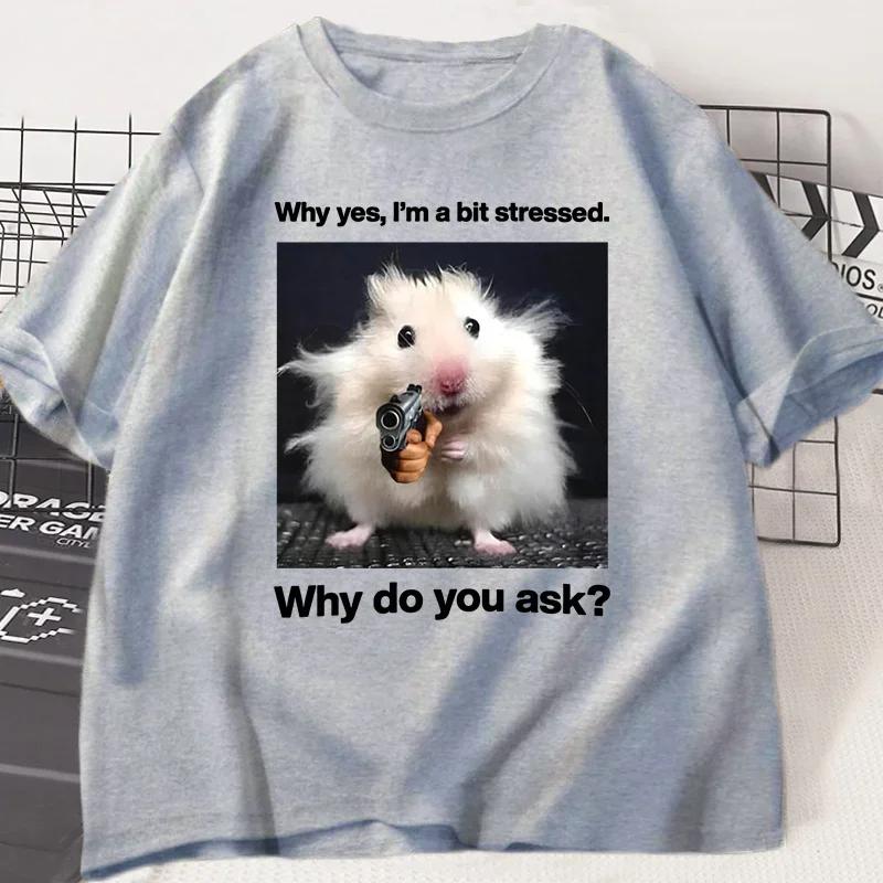 Why Hes Im A Bit Stressed Funny Print T-Shirt Men Women Weirdcore Clothing Unhinged Animal Mouse Graphic T Shirts Tees