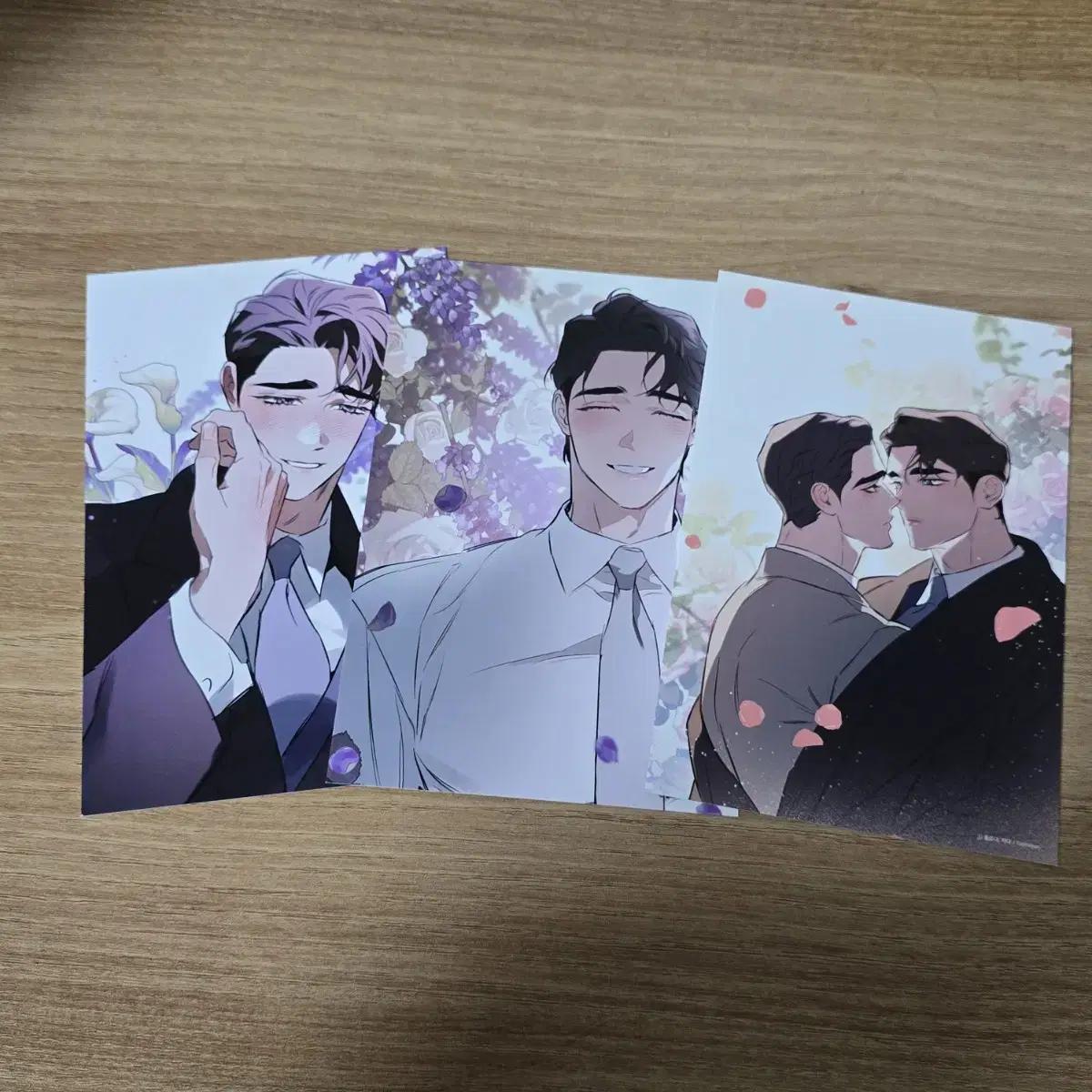 

Оптовая продажа 3 открыток Dtrtonique