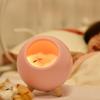 1Pc Cute Pet House Night Light Usb Charging Bedside Desktop Ambient Light Children's Bedroom Led Bluetooth Speaker Desk Lamp