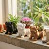 3D Printed Animal Shaped Pot Plastic Pug Figurine Plant Holder  Desktop Display