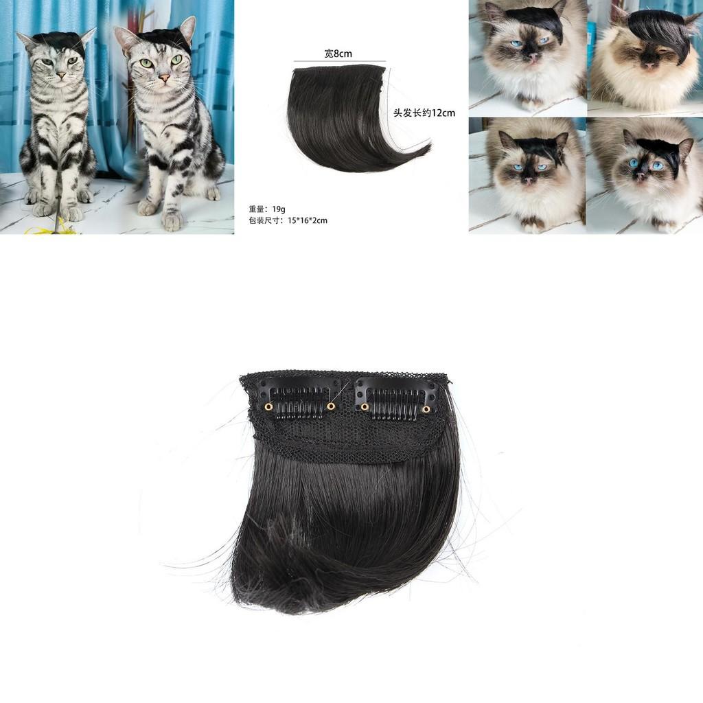 High-temperature Fiber Pet Costume Wig With Playful Side Bangs For Festive Fun