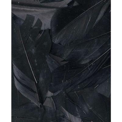 BLACK FEATHERS - 6 CM