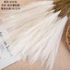 Artificial Flower Mini Pampas Reed Grass INS Wind Simulation Flower Manufacturer Home Decoration Wedding Wholesale
