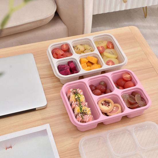 Lunch Box with Lid Five-Compartment Design Convenient Healthy Odorless Food Storage Containers for Snacks And Fruits