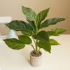 Fake Evergreen Bendable Shape Artificial Green Plants For Living Room Shopping Mall Hotel Restaurant Decor