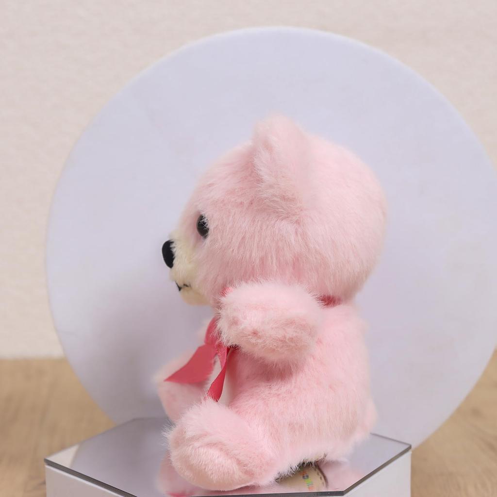 Takeoff Plush Bear Popolibon Keychain Pink