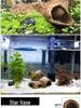 Ceramic Fish Tank Decoration: Shrimp Hiding, Cichlid Breeding, Spawning Nest.