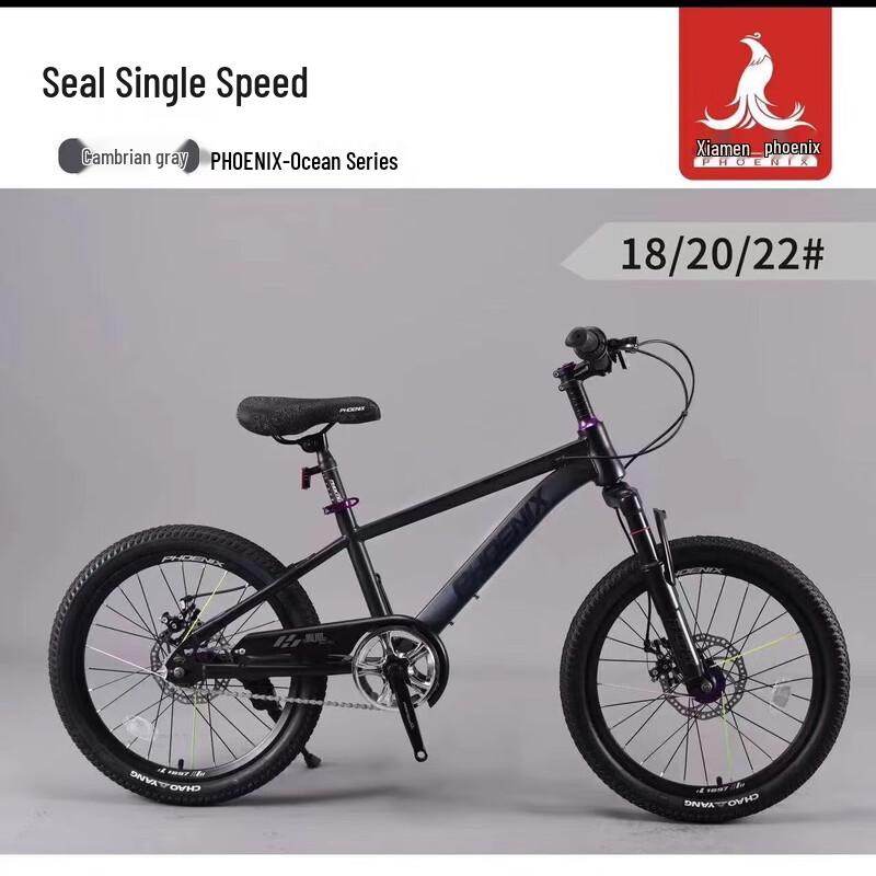 

Phoenix Single-Speed Mountain Bike