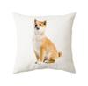 45x45cm Cute Cat Cushion Cover Polyester Throw Pillow For Bed Living Room Sofa Office Seat Car Kids  Decor Home