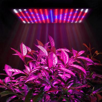 AC85-265V 225 LED High Power Phyto-lamp LED Grow Light Full Spectrum LED Panel Grow Lamp For Plants Hydroponics Tent