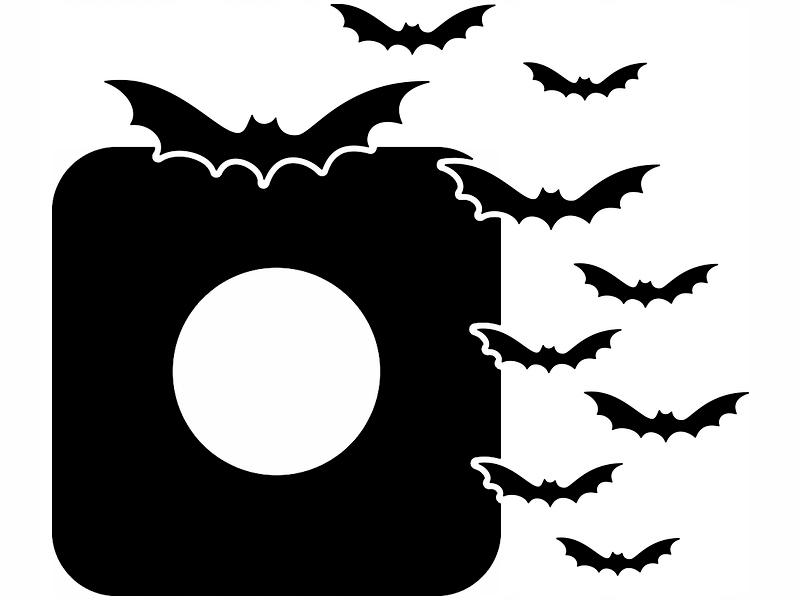 Protective Sticker for the Switch - Bats