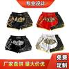 Shorts MMA Homme Pantalon d'Entraînement de Boxe Muay Thai Sanda Sports de Combat Salle de Sport Tissu Léger Stretch