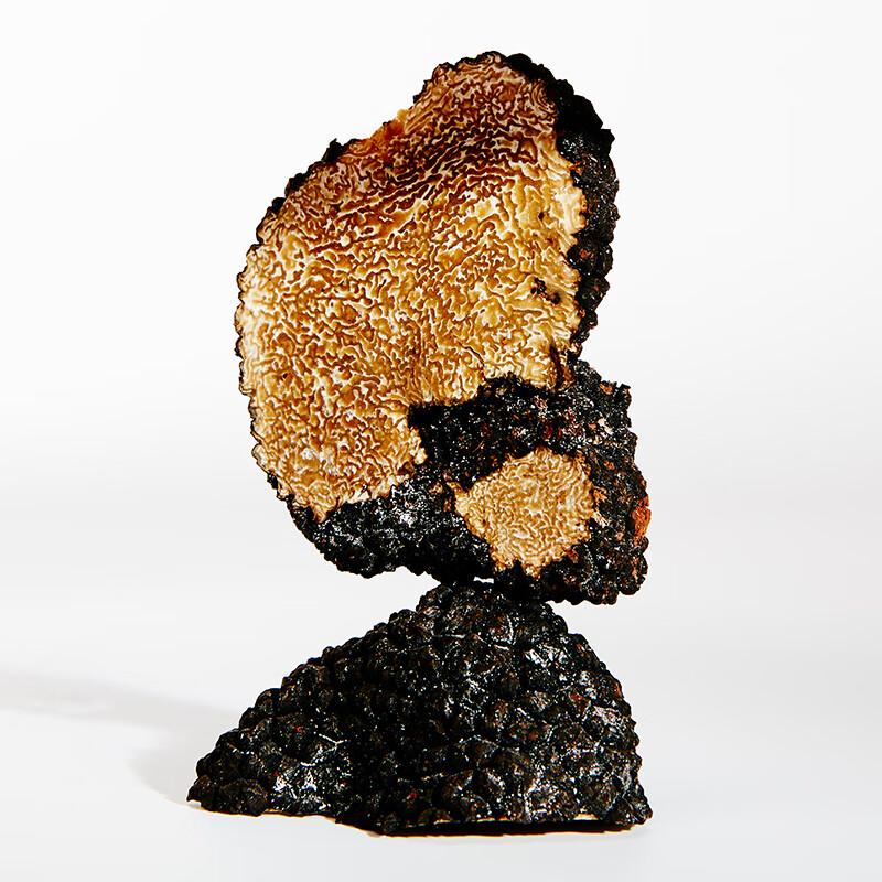 LOEWE Signature Fragrance Collection