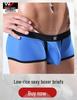 Men's Low-Rise Mesh Thongs - Breathable Nylon Lingerie