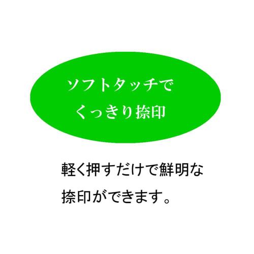 KOKUYO Stamp, Rotating Stamp, European Date, Mincho Font, No. 4, For Bills IS-TD4