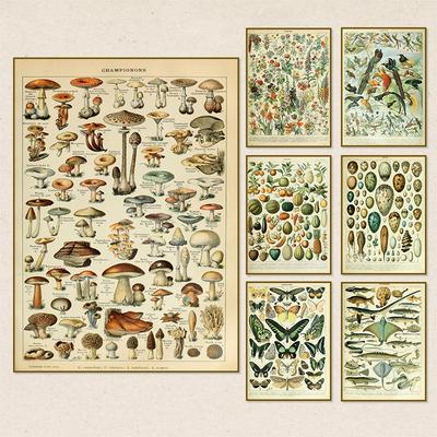 Deko & Wohnaccessoires – Bilder & Poster