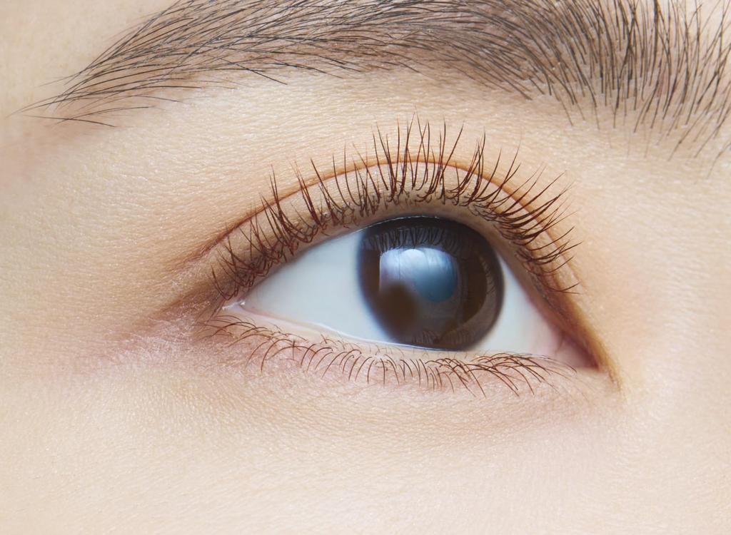 dejavu Dejavu Lash Up E2 Dark Brown 1 piece (x 1)