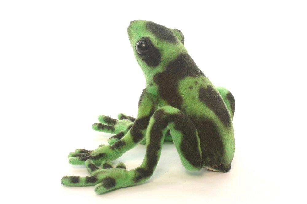 Green poison dart frog No.5224