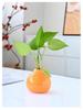 Country Style Ceramic Orange Vase for Hydroponic Ivy and Tabletop Decoration