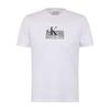 Calvin Klein T-Shirts Men's Crew Neck Moderate Straight Fit 4R8009S-110/001