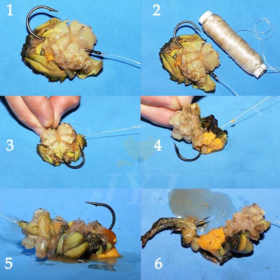 High Tensile PE Nylon Fishing Line Elastic Thread Spool Invisible Wire Bait String Monofilament Rope Sea Fishing Accessories