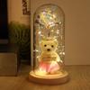 Glass Cover Gift Box Little Bear Rose