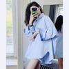Blue Shirt Top Women's Spring New Design Sense Niche Loose Shirt
