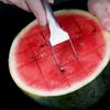 Wassermelonen-Gabel Edelstahl Obstschneidegabel Tragbarer Doppelkopf Sommer Wassermelonenschneider