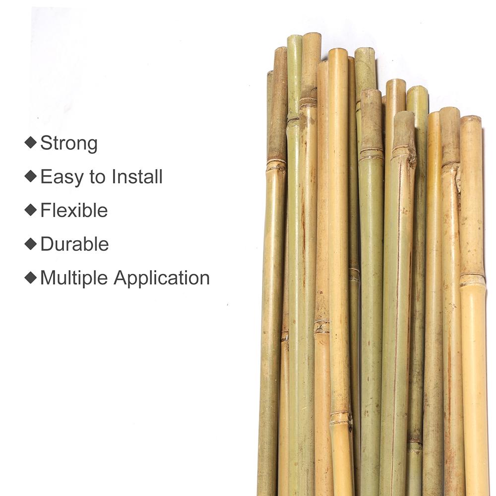 

2 фута. x 5/16 дюймов. Натуральные бамбуковые экологически чистые садовые колышки для поддержки вьющихся растений (Упаковка 100 шт.) United States